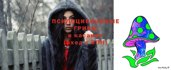 Альфа ПВП Алзамай