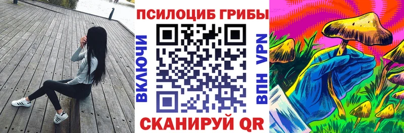 Псилоцибиновые грибы Magic Shrooms наркошоп мега зеркало Боготол
